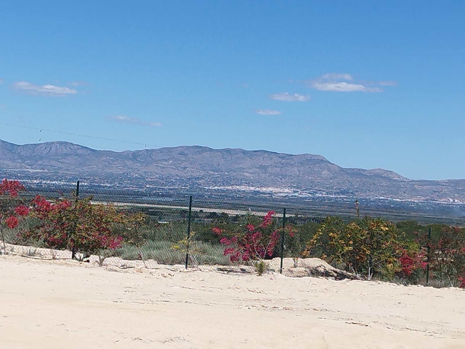 Land And Plots In San Fulgencio