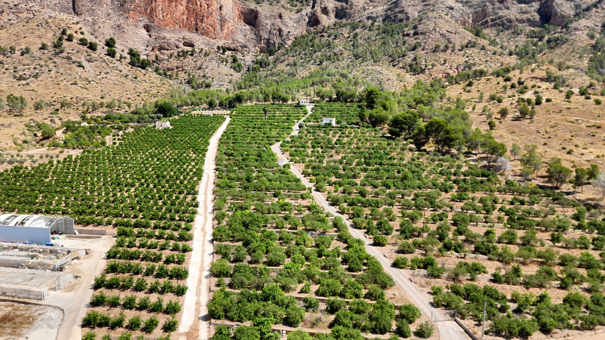 Finca Country Property In Orihuela